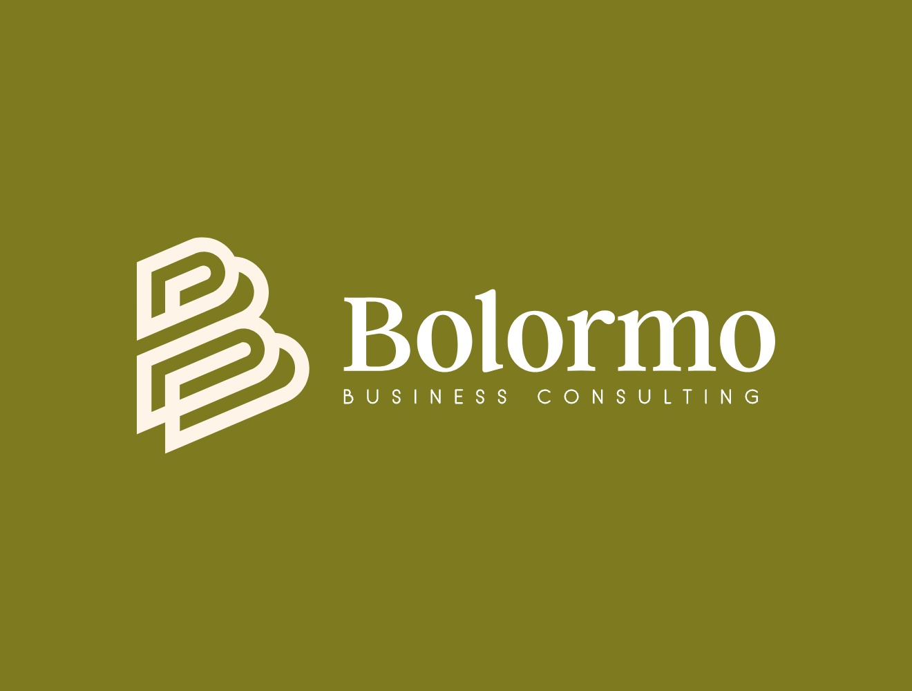Bolormo Business Consulting